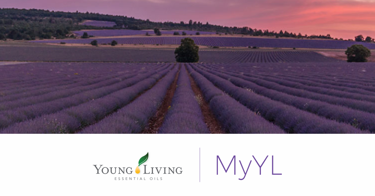 Young Living MyYL.com | bellyflair - Stephanie Rohrer